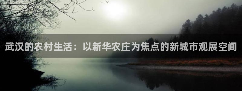 pg电子辅助软件下载