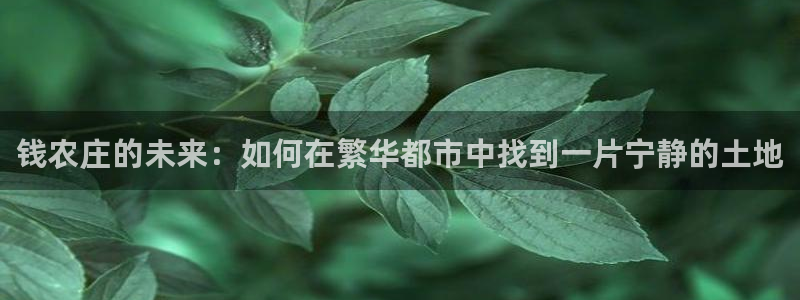 PG电子怎么玩出爆分