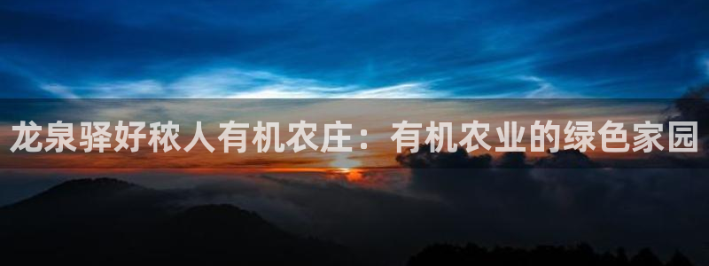 网络上的电子赌博PG