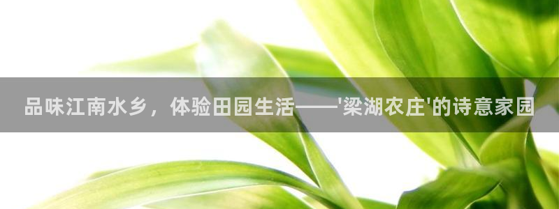 PG电子麻将胡了不爆分