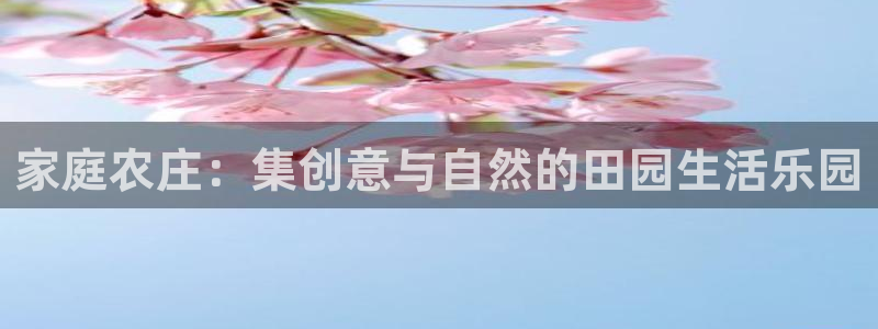 pg电子是谁开发的