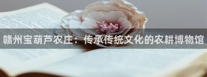 pg电子西游记爆分视频