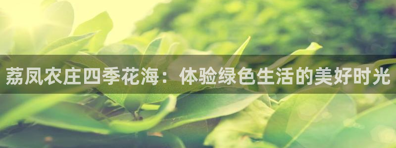 pg雪崩 电子说明书