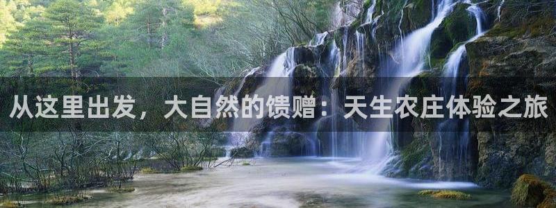 pg电子挂机