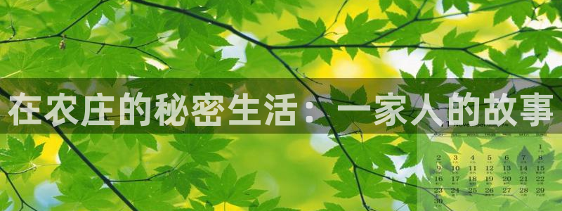 pg电子登录入口