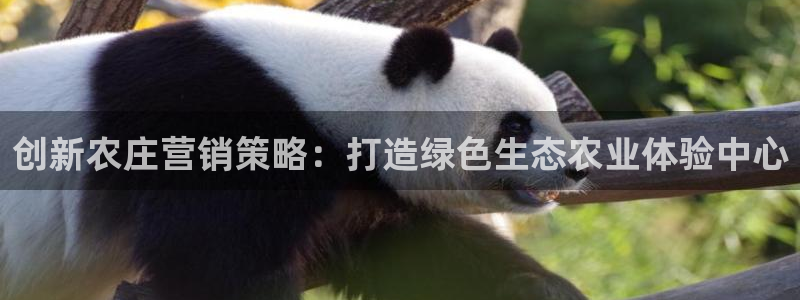 pg电子游艺风控应对
