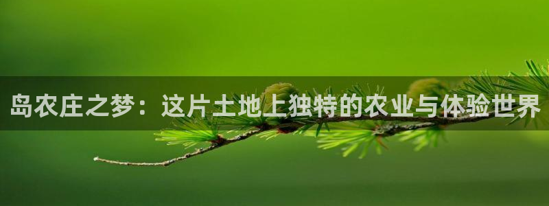 pg电子黄金城视频