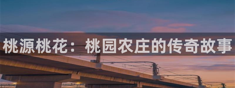 pg电子游戏视频哪里多