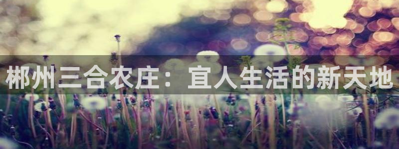 pg电子双喜临门线路怎么看