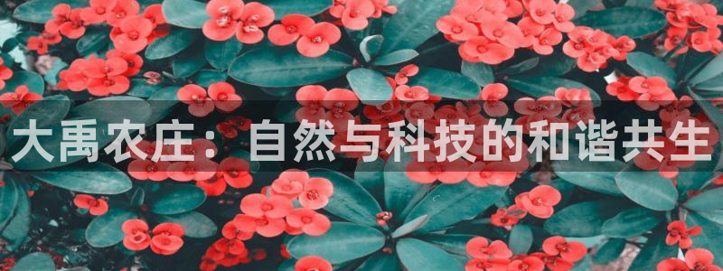电子游戏爆奖视频pg