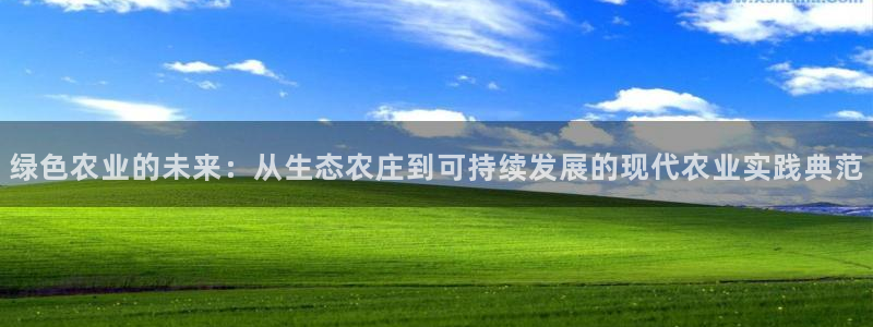 pg电子视频麻将胡了2