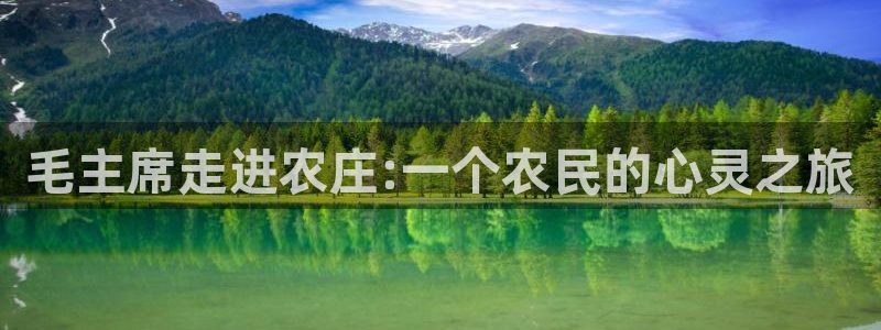 pg电子网