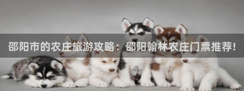 pg电子买免费旋转