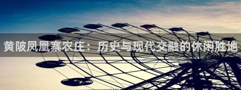 pg电子为什么老是维护