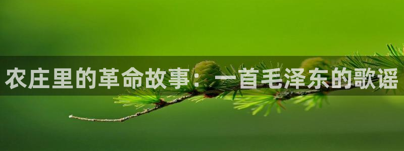 pg电子游戏交流群