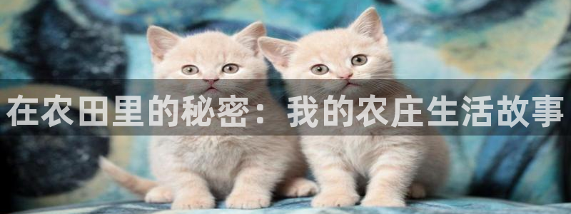 pg电子控制输赢