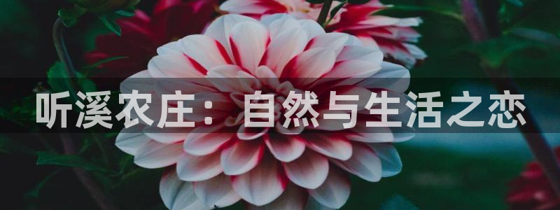 pg电子游戏哪里有直播