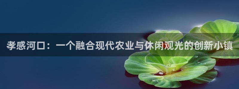PG电子平台网址