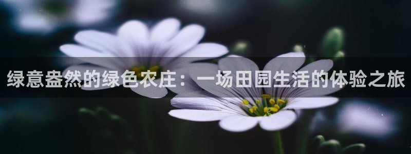 PG电子到底公不公正