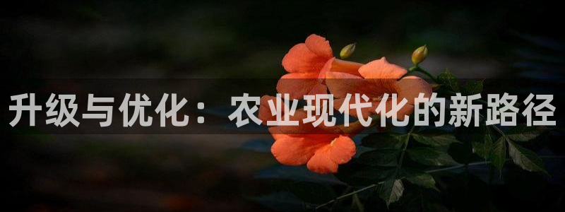 pg电子官方网站多少