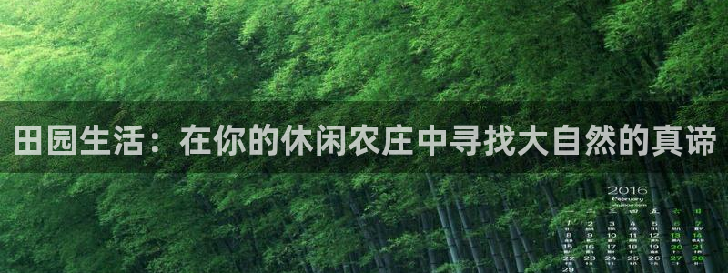 pg电子客户端