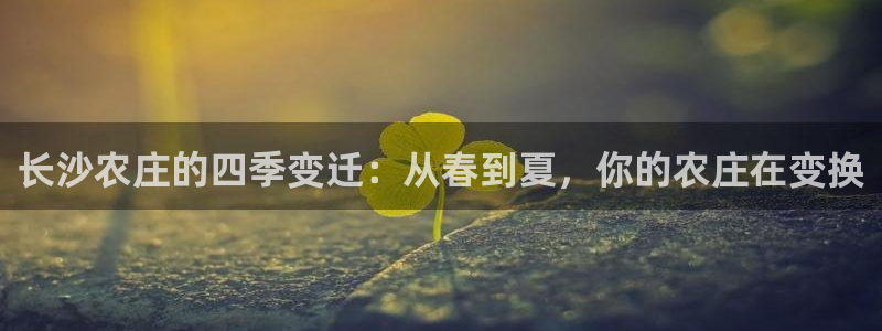 pg电子书签