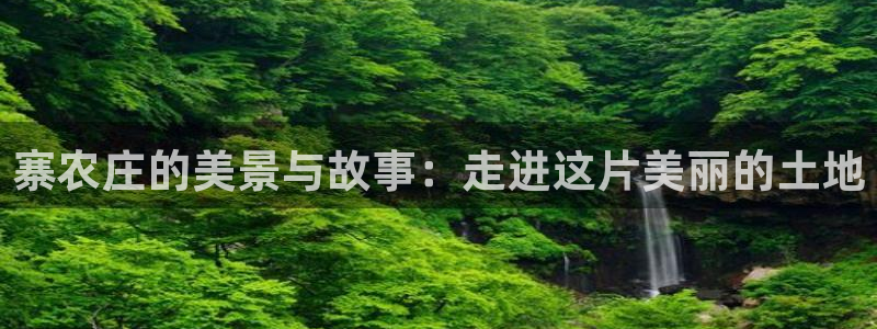 哪里可以看pg电子直播