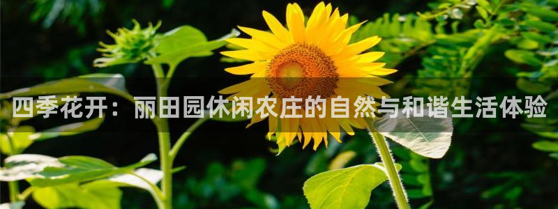 pg电子游戏哪个爆分
