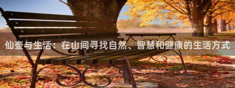 pg电子游戏非凡