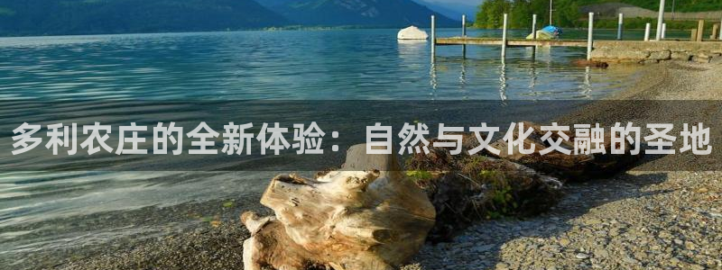 PG电子游戏外国