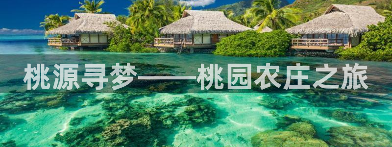 pg电子象财神怎么好赢