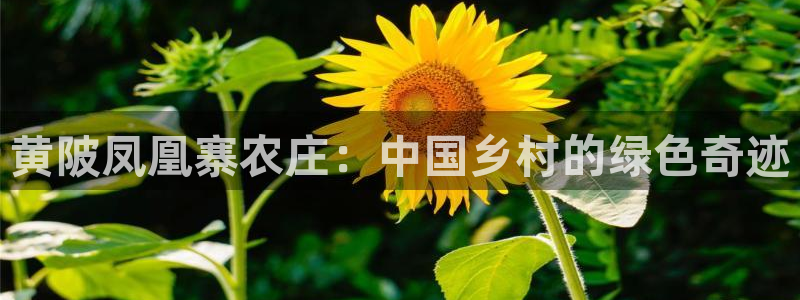 pg雪崩 电子说明书