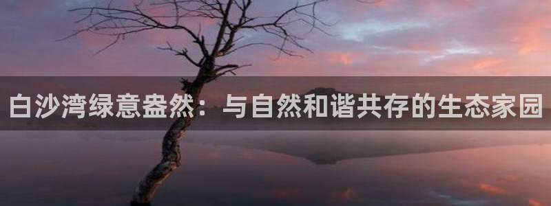 pg电子爆分网址