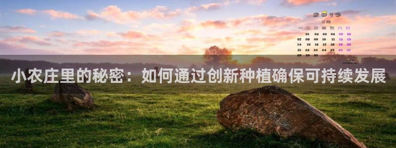 pg电子出分时间
