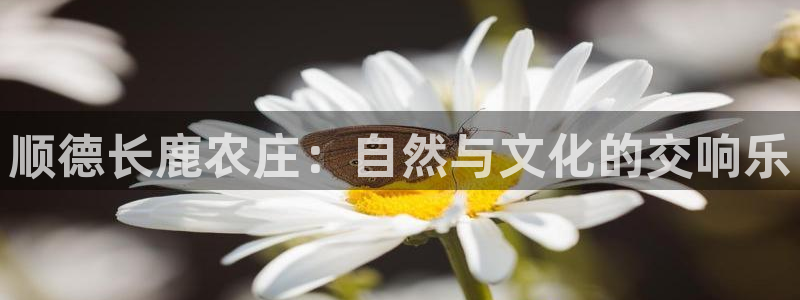 9229pg电子
