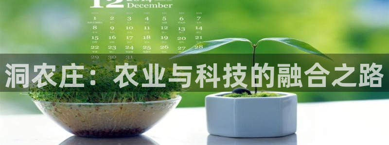 PG电子赏金女王玩法