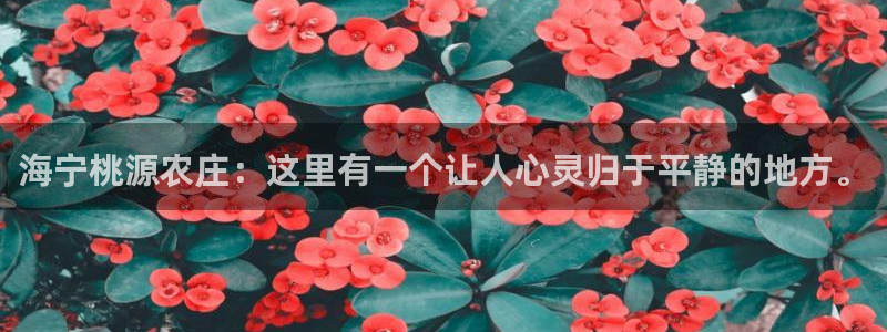 网页打不开Pg电子游戏
