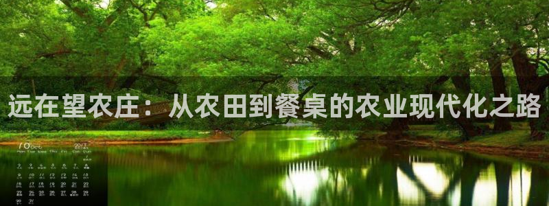 网站电子游戏PG怎么打