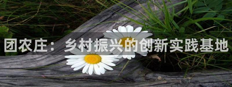 双喜临门pg电子