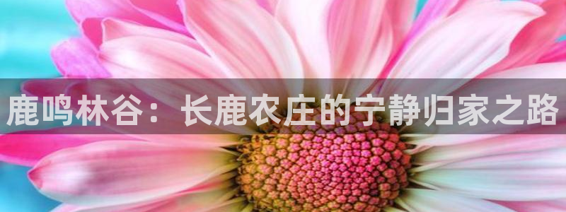 pg电子书签