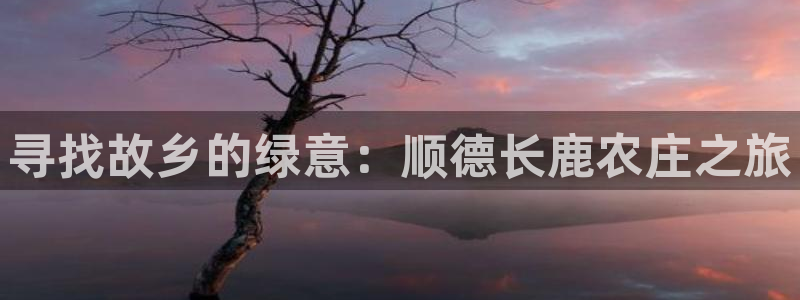 pg电子少林足球选哪个