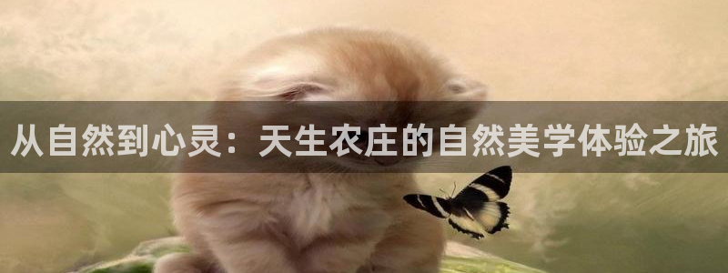 单机pg电子游戏