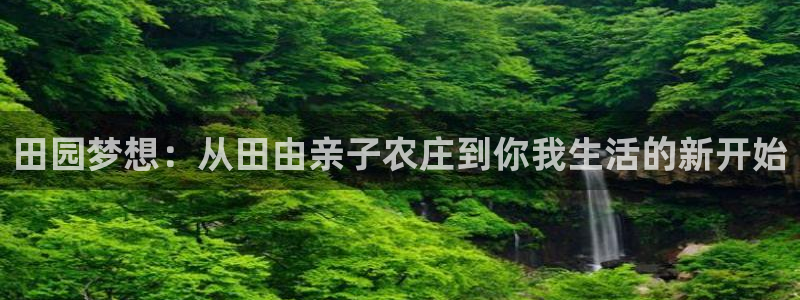 转出至PG电子什么意思