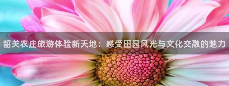 pg电子双喜临门维护