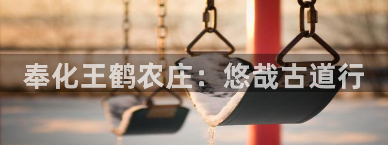 pg电子老是进不去