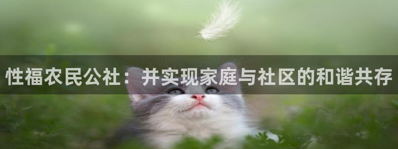 pg电子解密