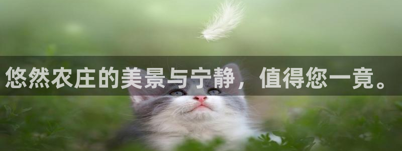 pg电子体验模式