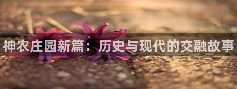 PG电子网址