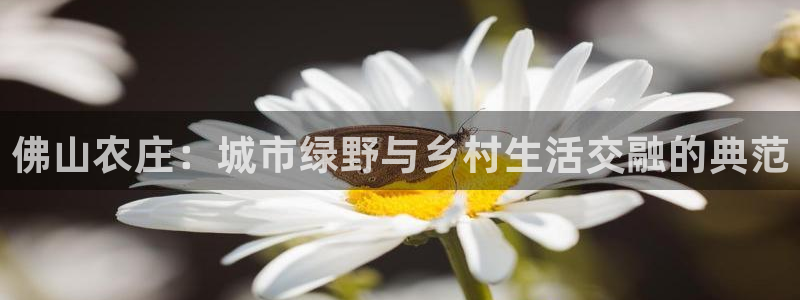 PG电子平台訫98db