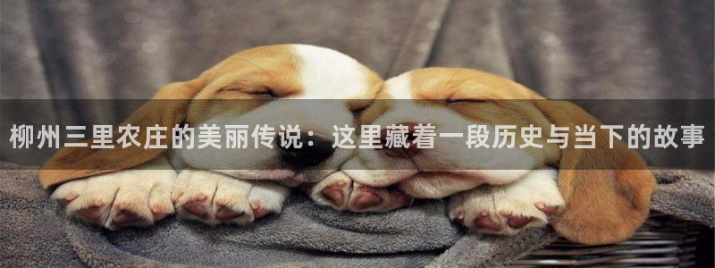 pg电子多家